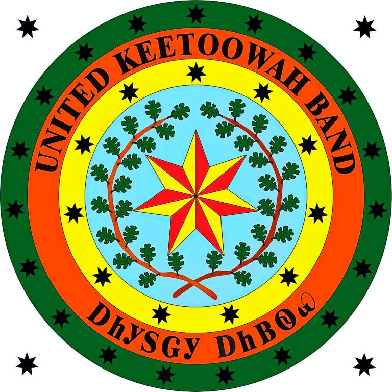 Kek-Virginiai-csukoka-Scutellaria-lateriflora-L.-cherokee