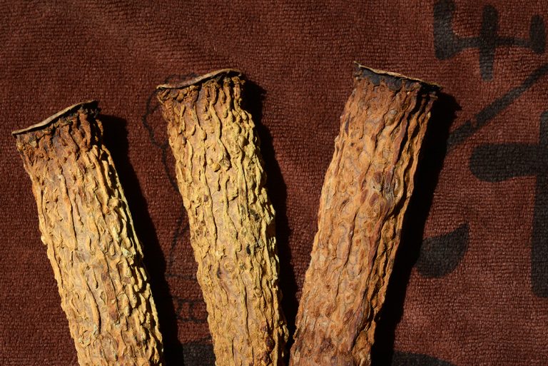 Keserűdinnye - balzsamkörte