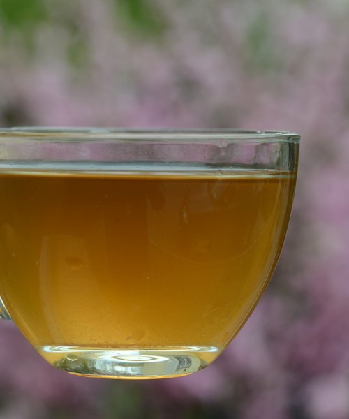 Lapacho - Az élet fája