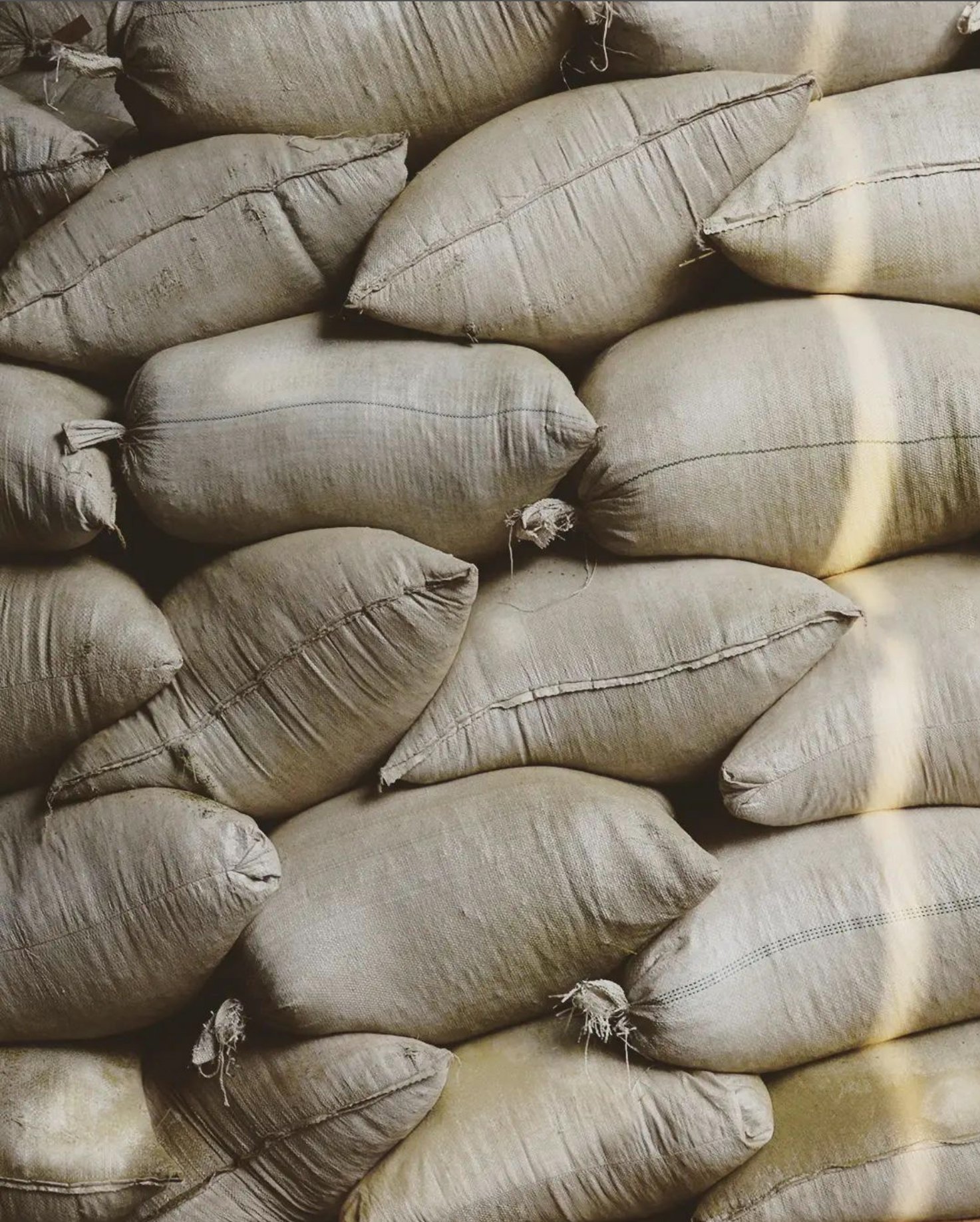 Lapacho-Rosa-yerba-mate