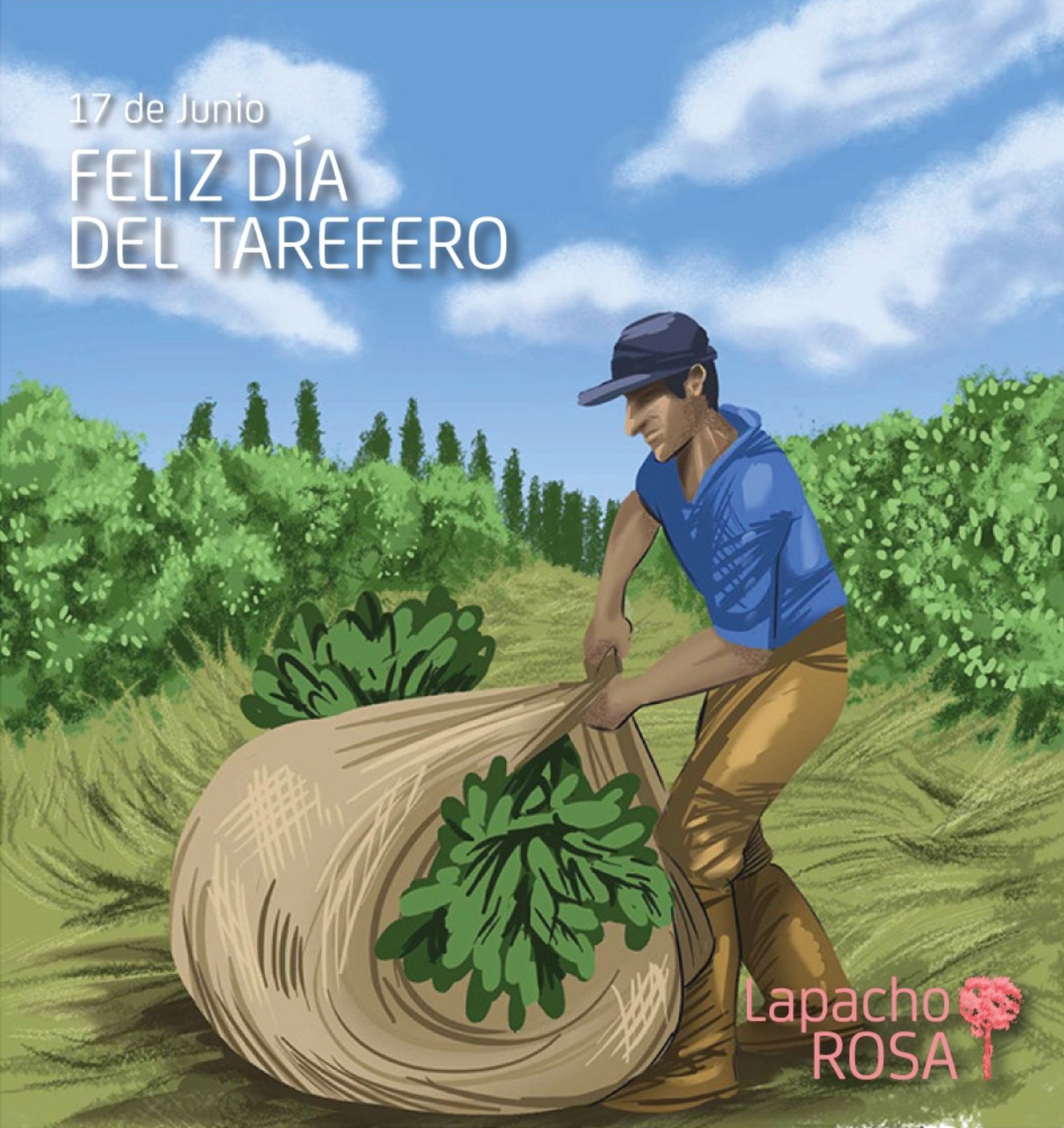 Lapacho-Rosa-yerba-mate