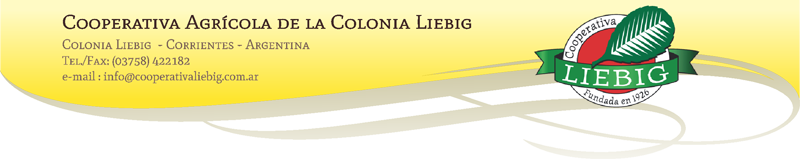 Liebig original yerba mate tea