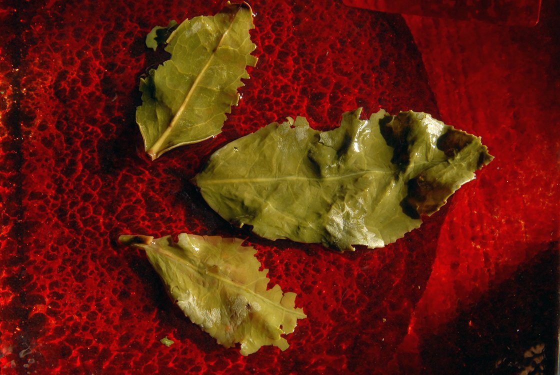 Tie Guan Yin brilliáns # 1200