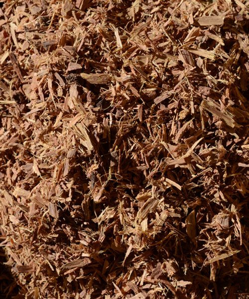 Macskakarom-Uncaria-tomentosa-