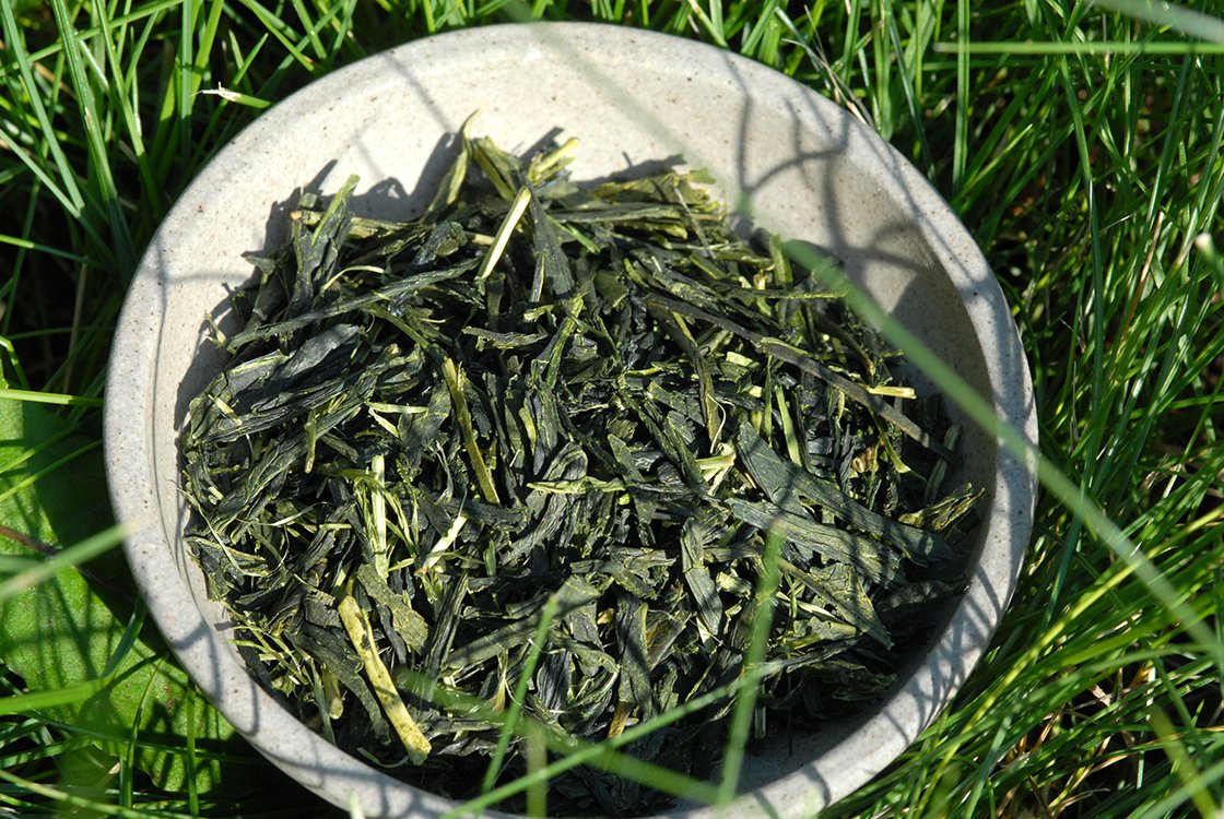 kawayanagi ujimidori japán zöld tea