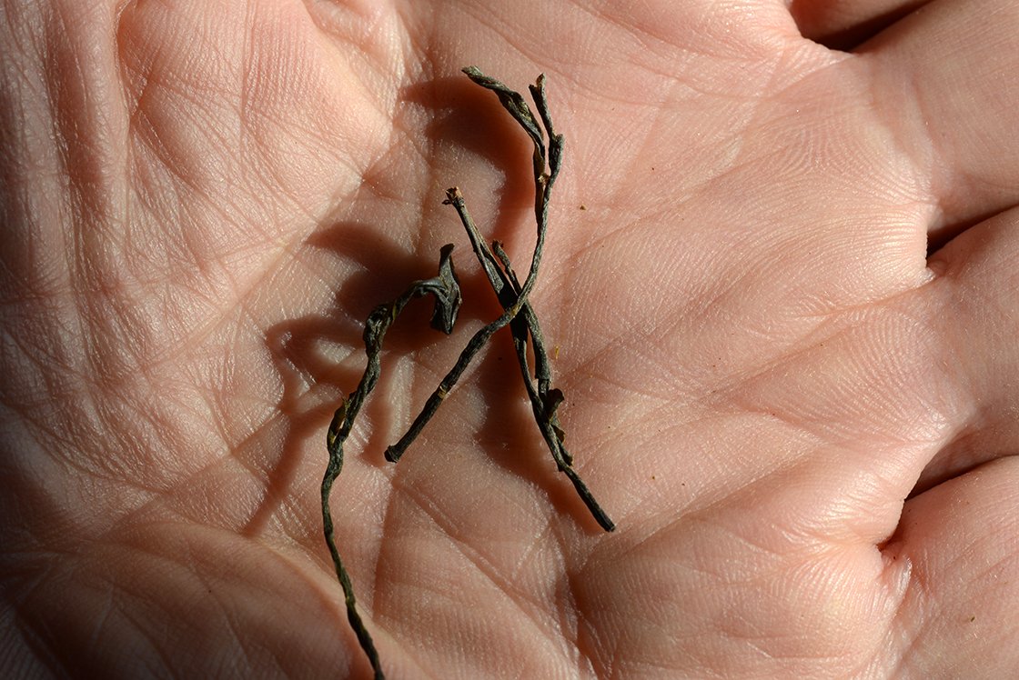 Zhang Úr illatos zöld teája