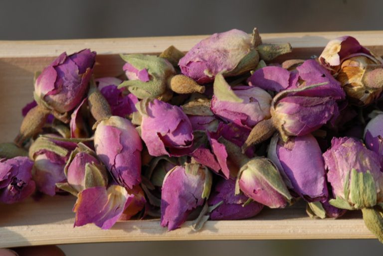 Muskotályos rózsa tea