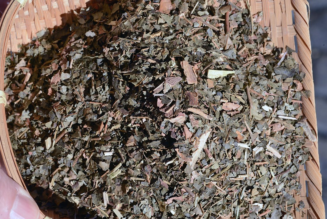 Nagylevelű csodamogyoró