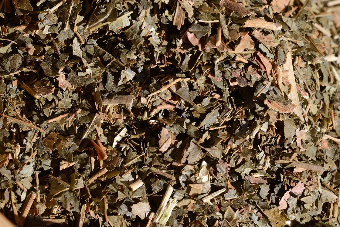 Nagylevelű csodamogyoró