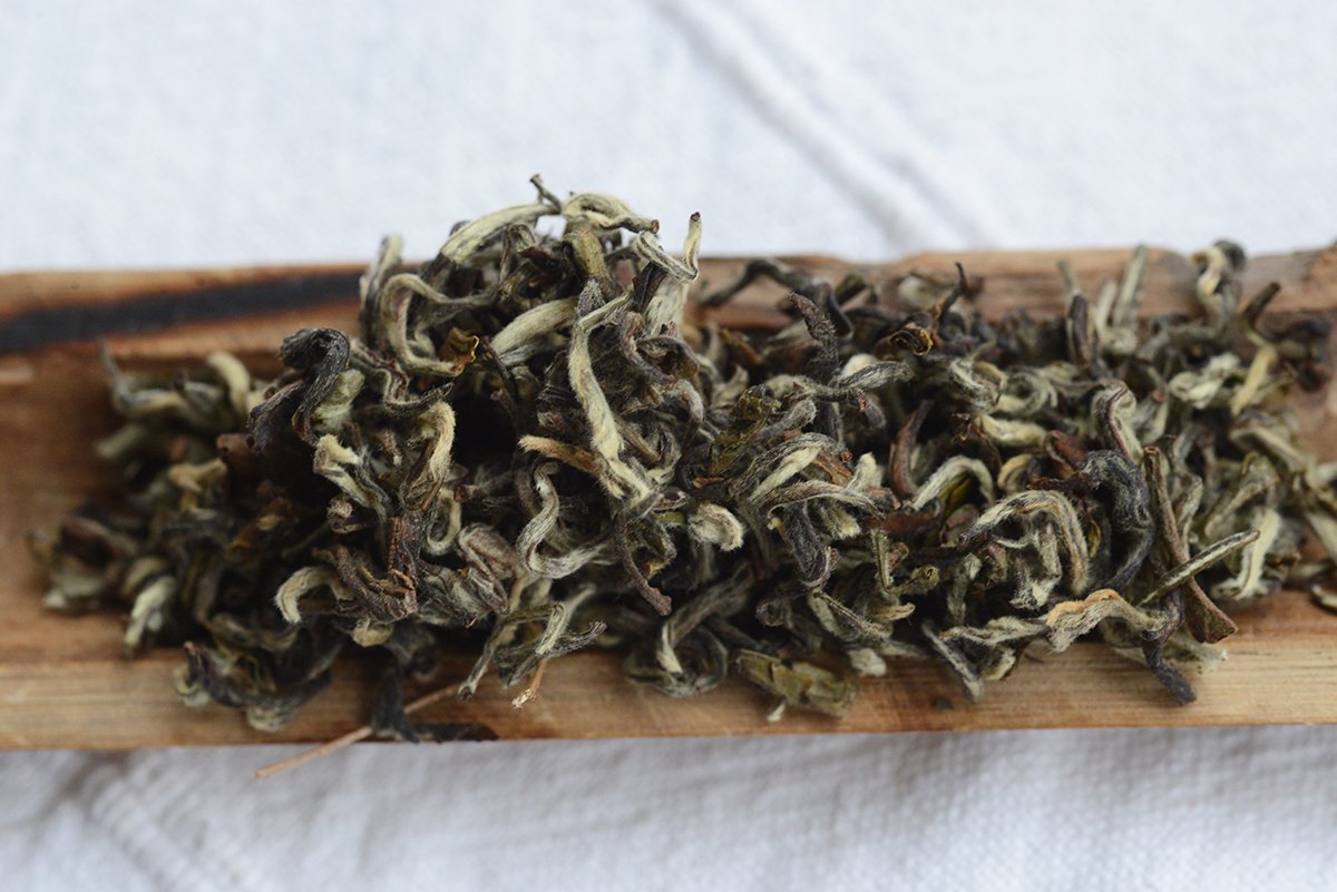 nepal sandakphu snow