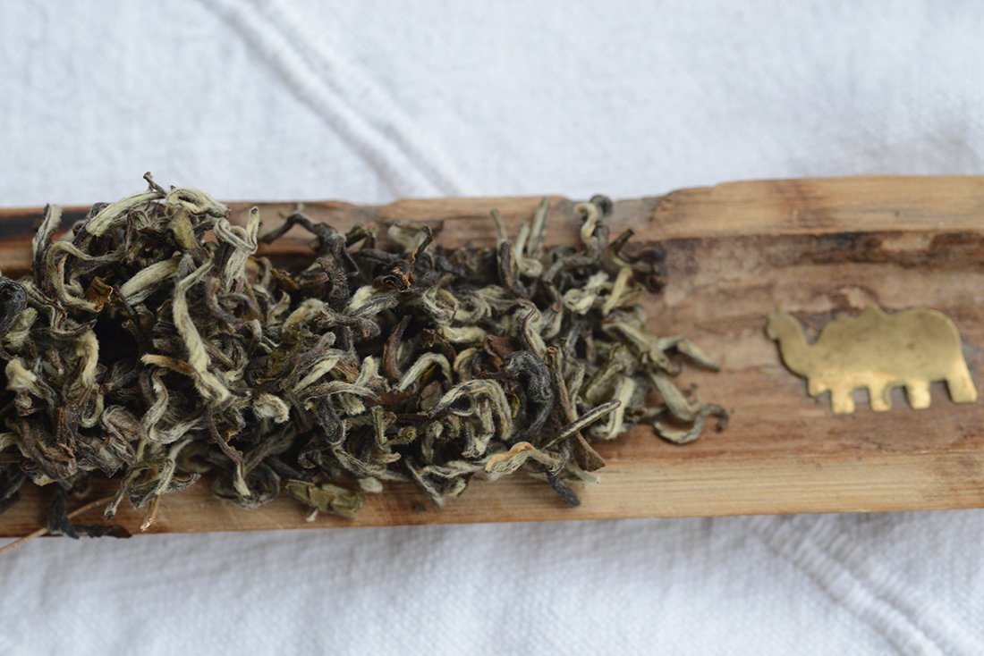 nepal sandakphu snow