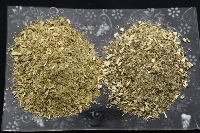 Pajarito organico mate tea