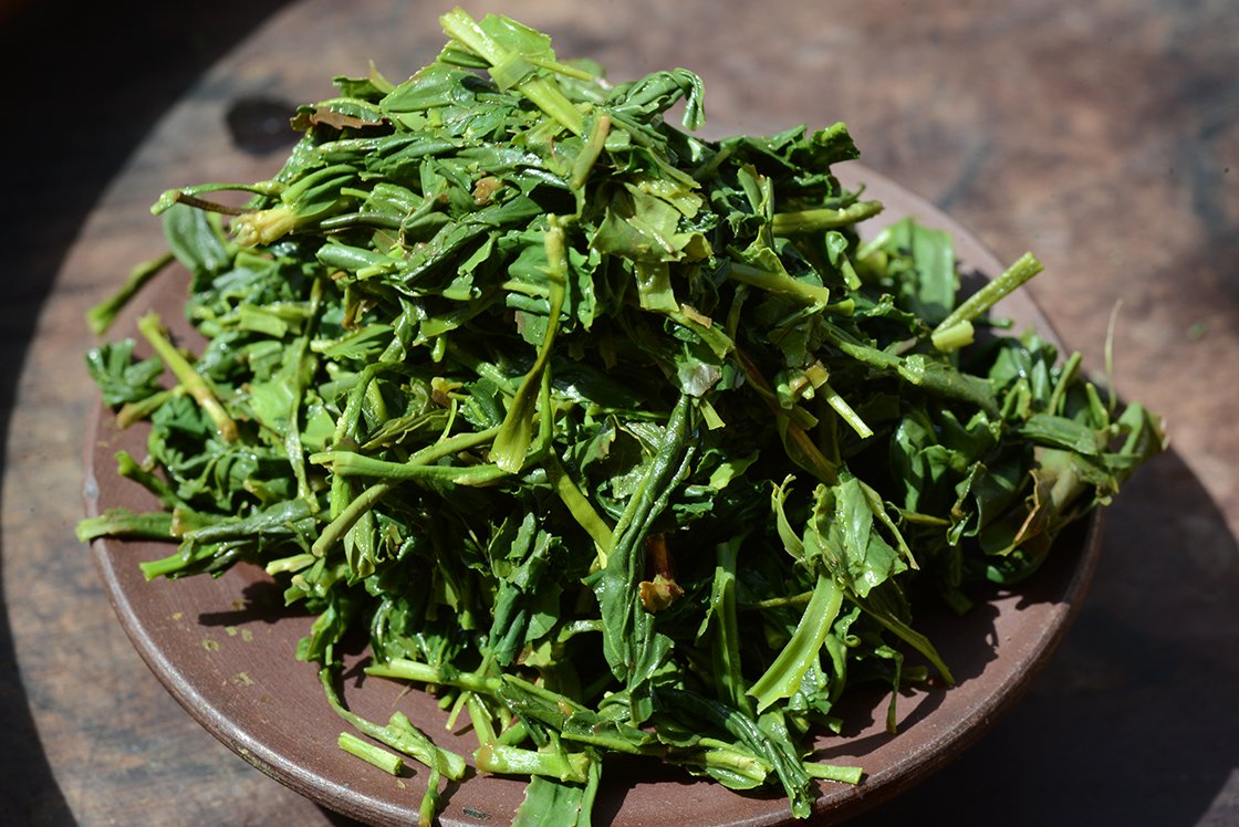 GABA midori Shizuoka japán zöld tea