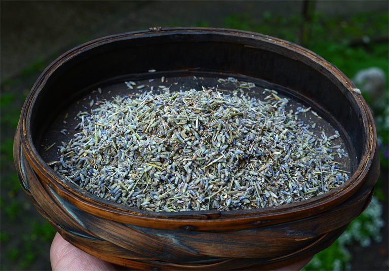 Valódi levendula virág tea