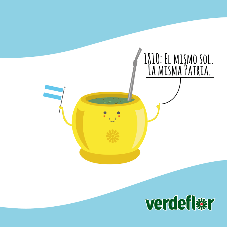 Verdeflor boldo mate tea