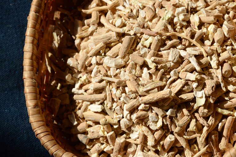 Withania somnifera - Álombogyó