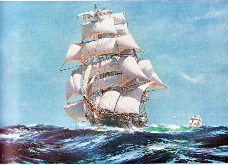 Darjeeling Rohini FF Jethi Kupi FTGFOP1