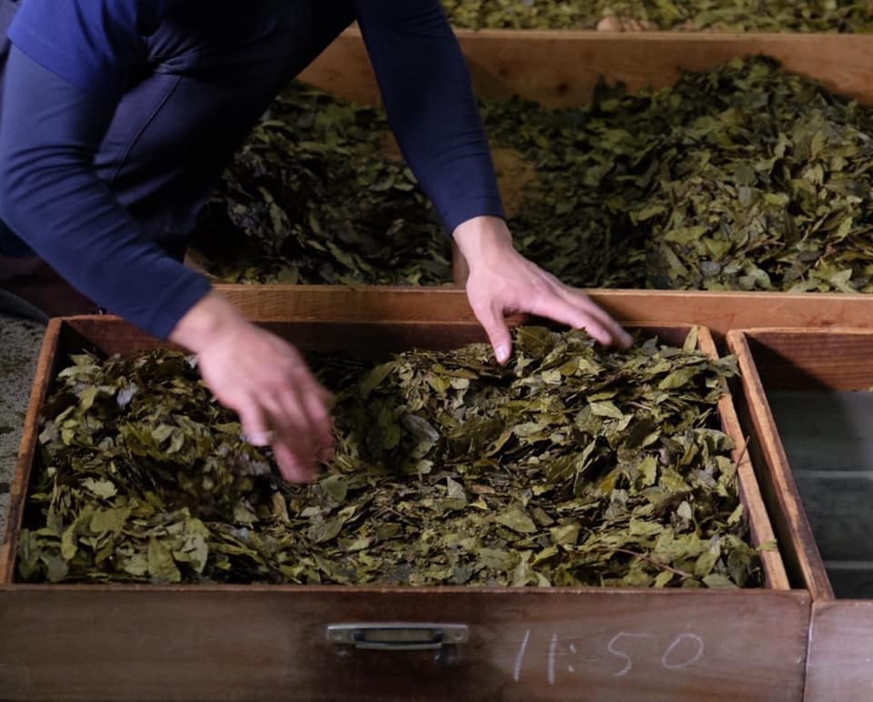 Omi tavaszi baby bancha