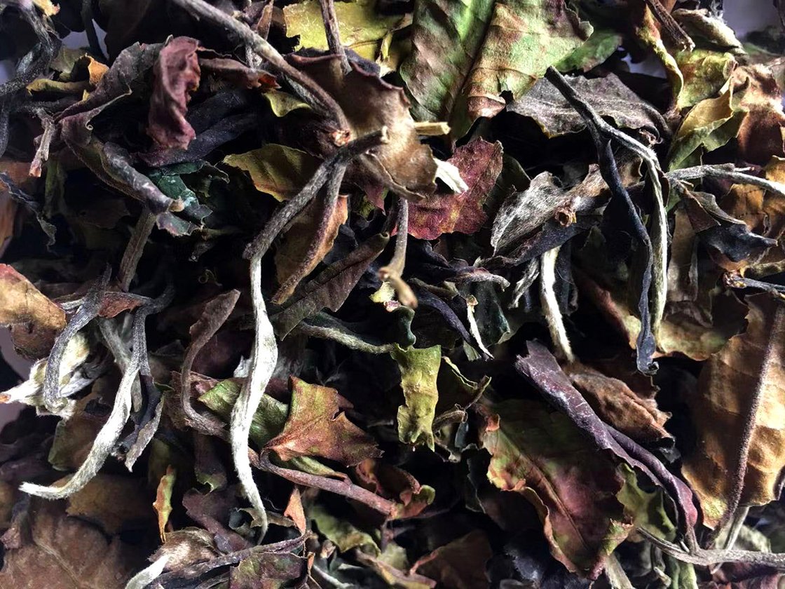 Bai Lan Ye Sheng fehér tea