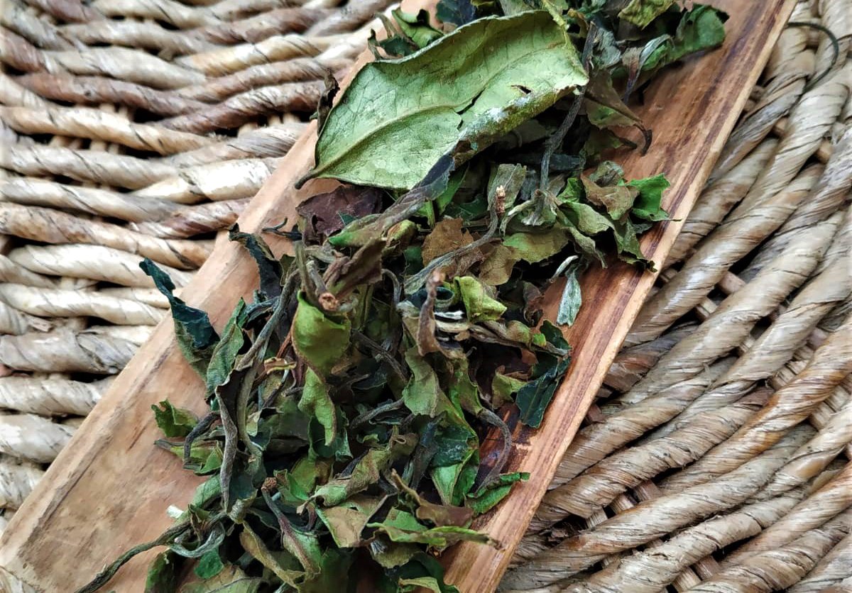 Bai Lan Ye Sheng fehér tea