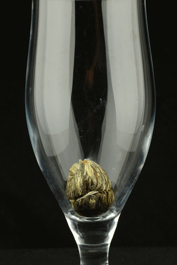 Vörös lampion virágzó tea