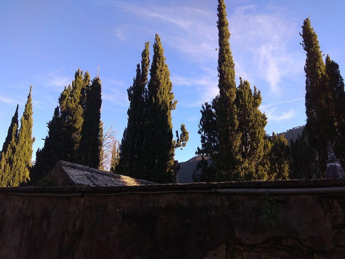 Ciprus herbatea keverék