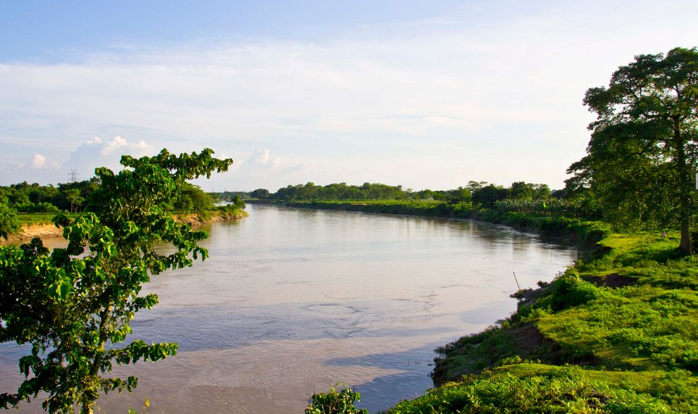 Doke Black Fusion indiai fekete tea