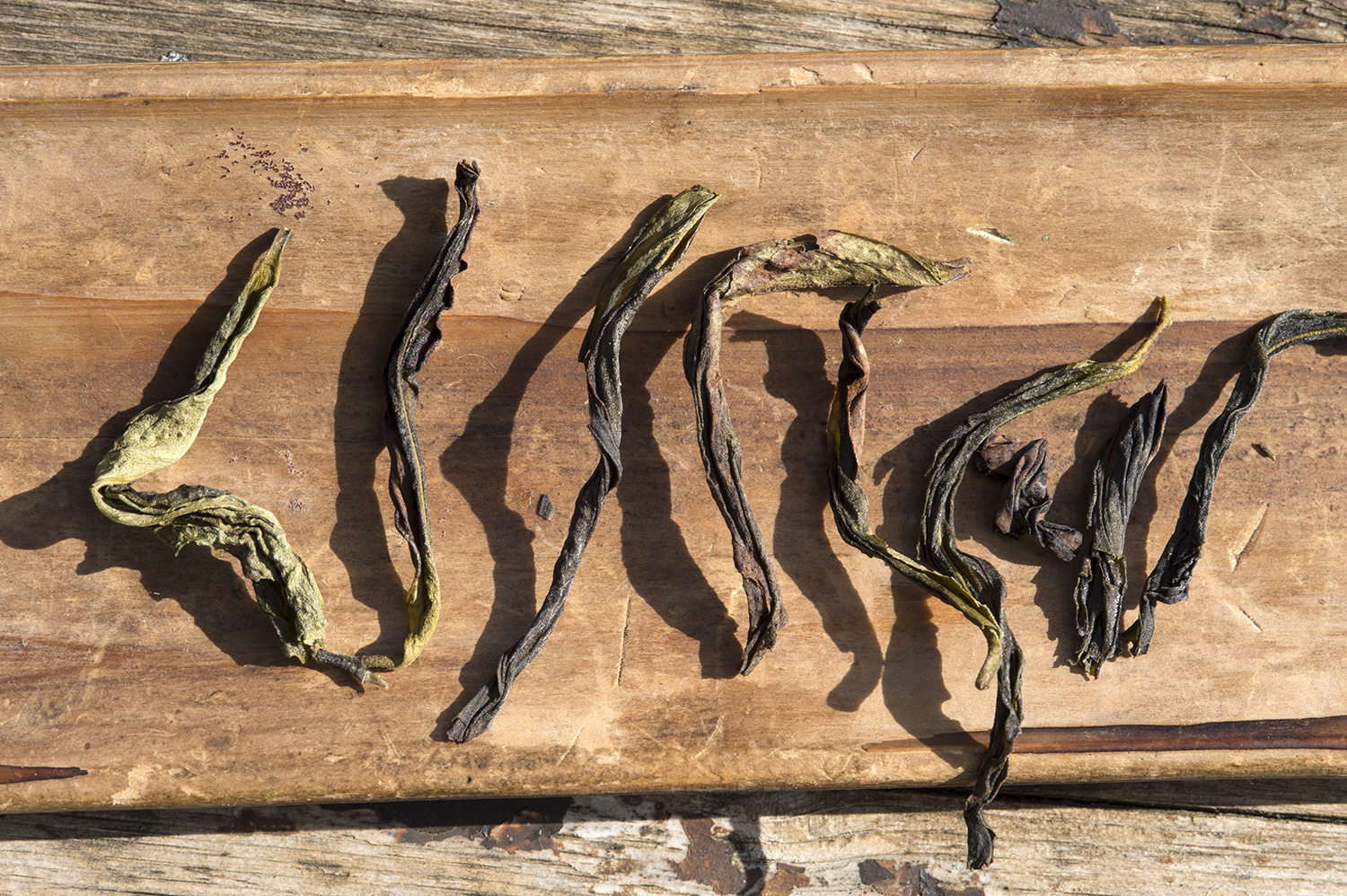 Feng Huang Dan Cong Ba Xian Xiang