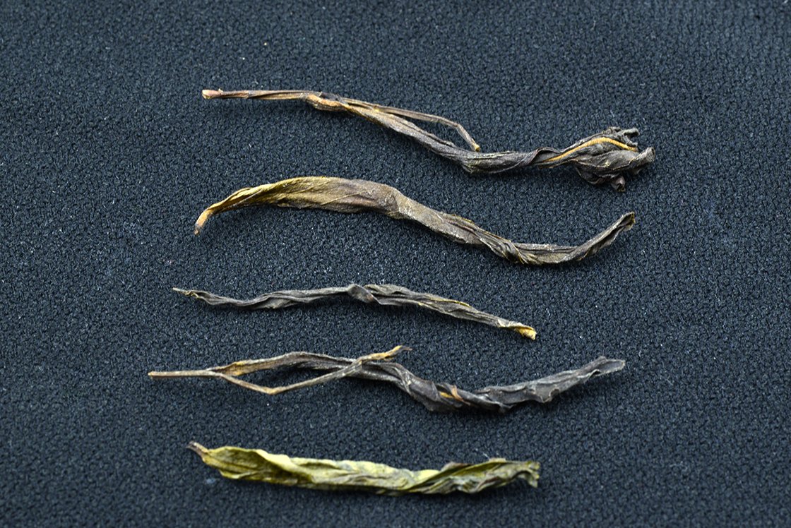 Da Wu Ye Főnix Dan Cong Nagy Fekete Levél,