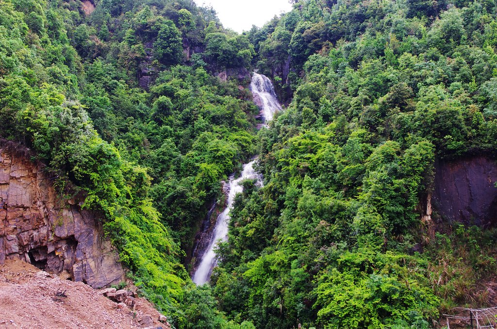 Zhang Úr illatos zöld teája