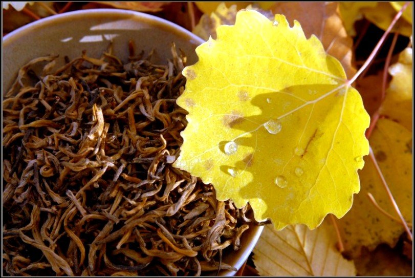 Dian Hong Yunnani aranyvörös őszi szedés