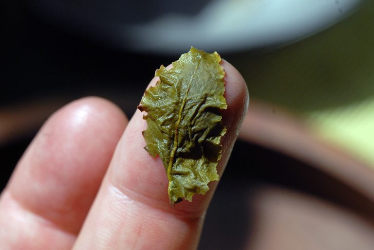 Hagyományos sütésű Tie Guan Yin oolong tea