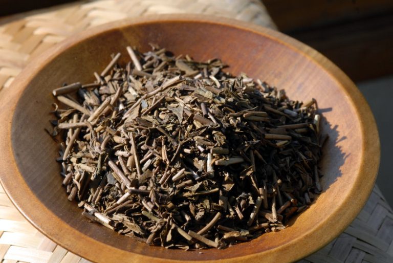 hojicha-nishiki-kaori