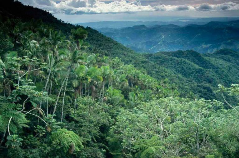 jerovia-mate-rezervatum