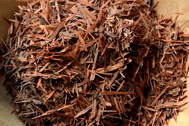 Lapacho - Az élet fája