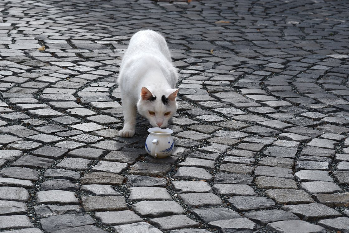 Li Jiang Mao Jian kínai zöld tea 