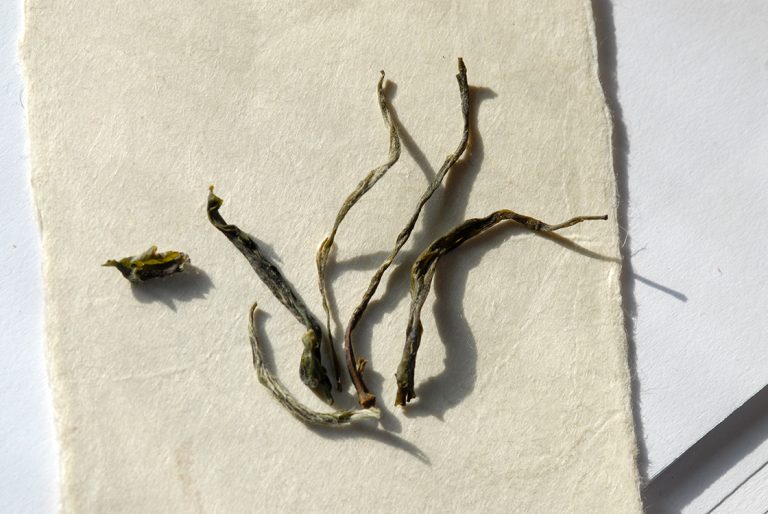 Lu Xue Ya 绿雪 Zöld hópihék