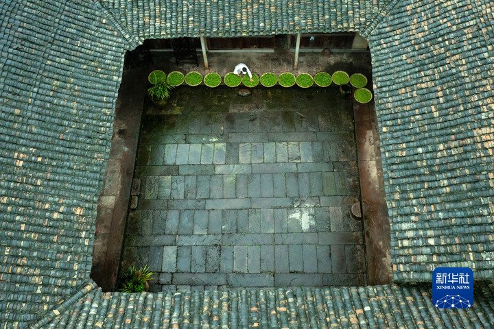 Mengding shan teahegység