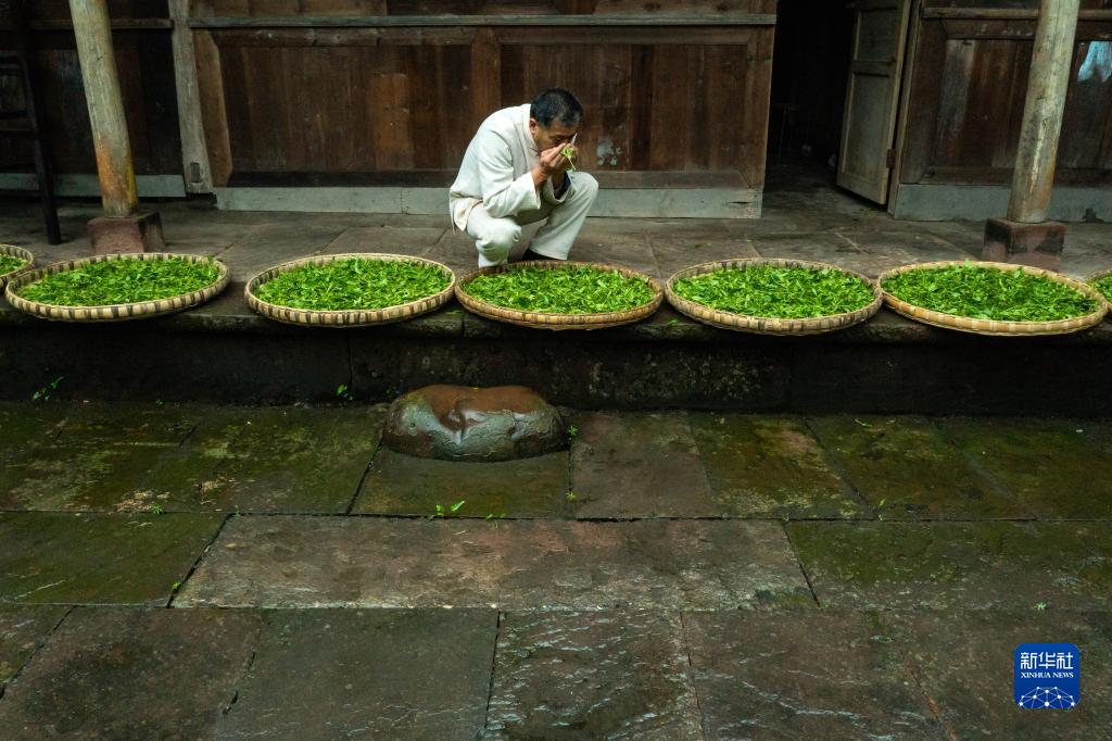 Mengding shan teahegység