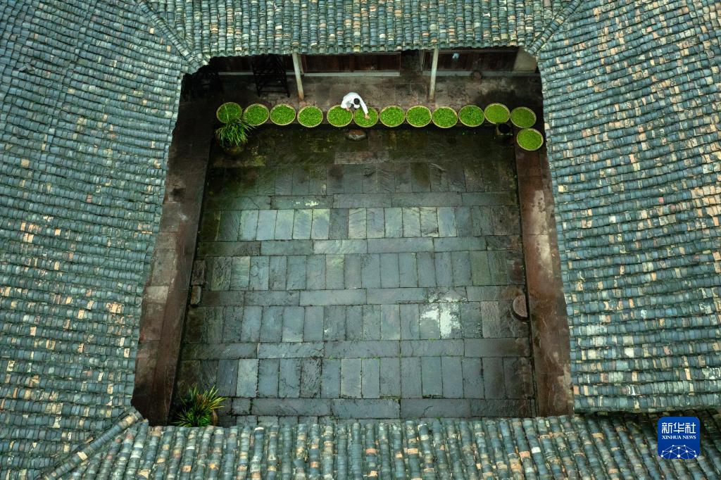 Mengding shan teahegység