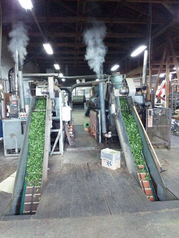 Bio miyazaki Kamairicha