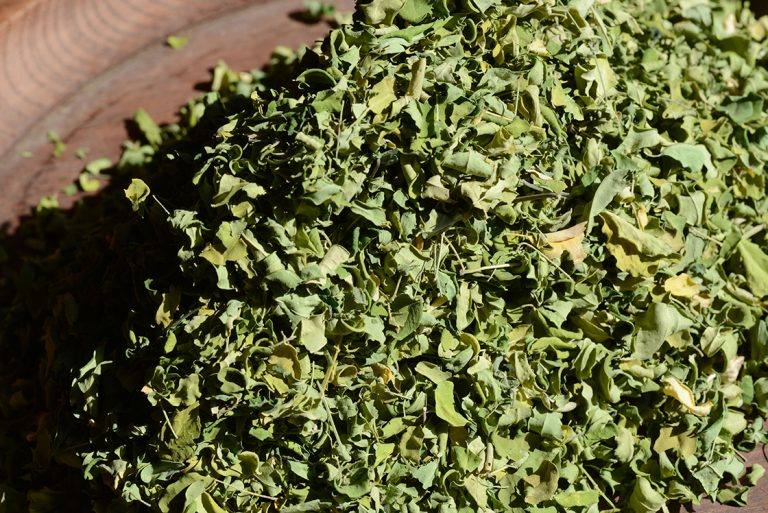 Moringa levél