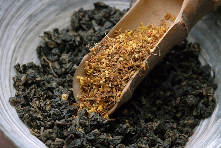 Osmanthus oolong