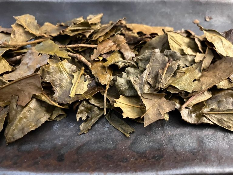 Bio Bancha Mandokoro