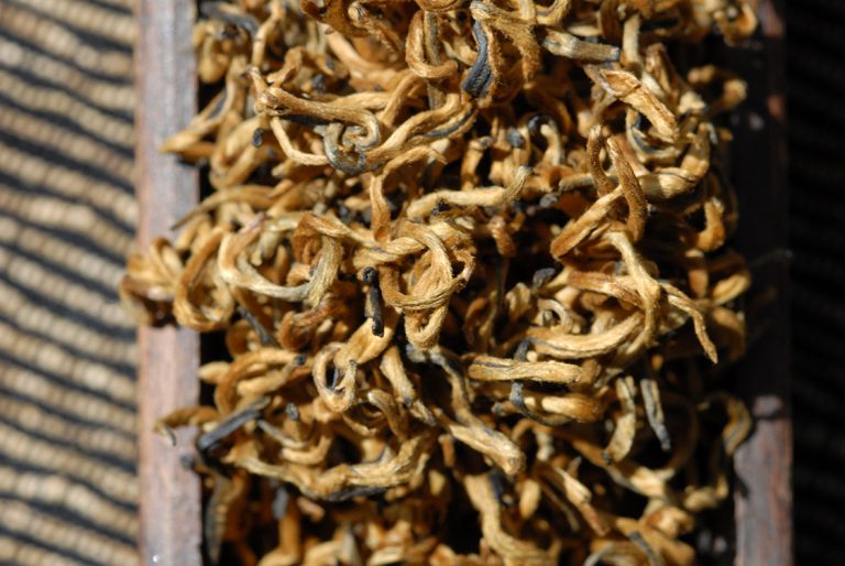 Mojiang arany rügy tea