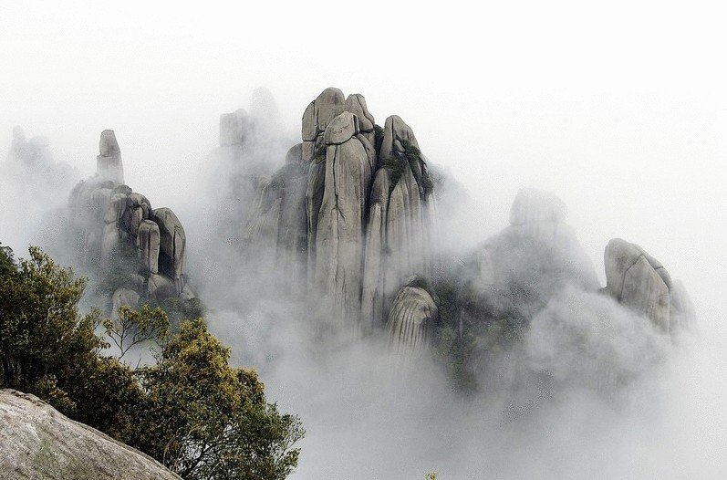 Lu Xue Ya 绿雪 Zöld hópihék kínai zöld tea