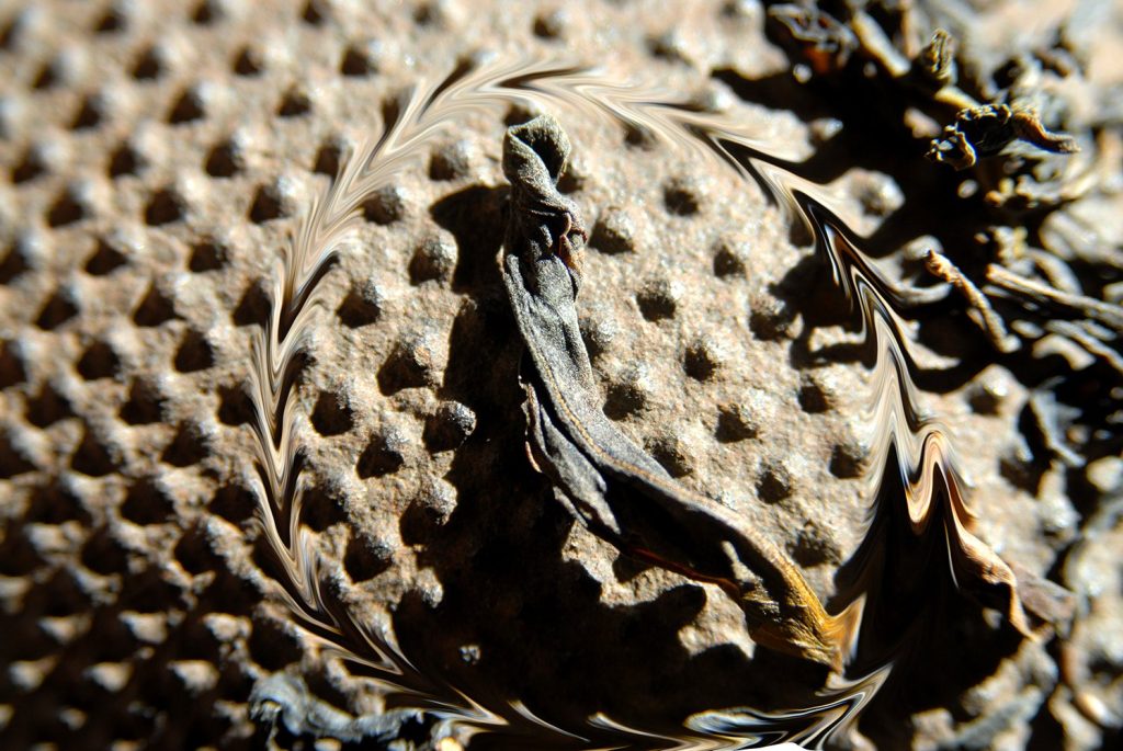 tie-luo-han-wuyi-rock-oolong-tea