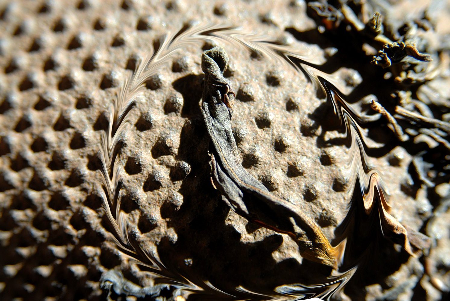 tie-luo-han-wuyi-rock-oolong-tea