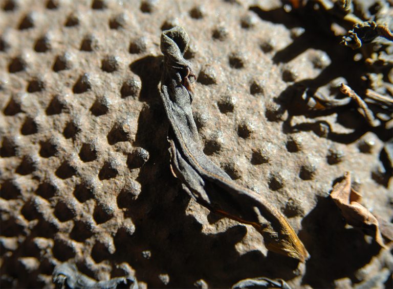 tie-luo-han-wuyi-rock-oolong-tea