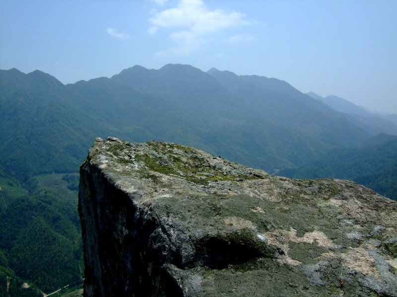 tavaszi tie guan yin oolong tea